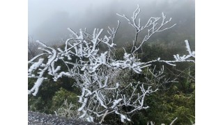 Du khách đổ về Mẫu Sơn ngắm cảnh băng tuyết phủ trắng núi rừng